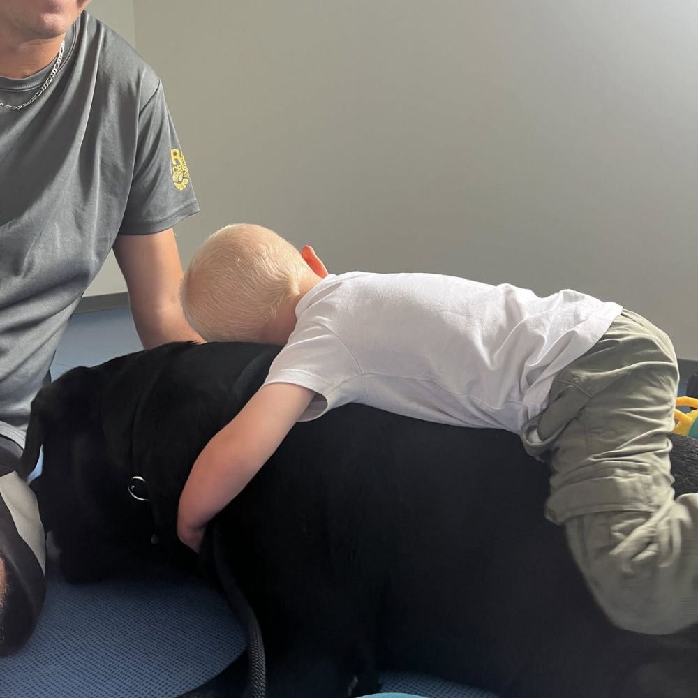 institut la therapie a 4 pattes anizy