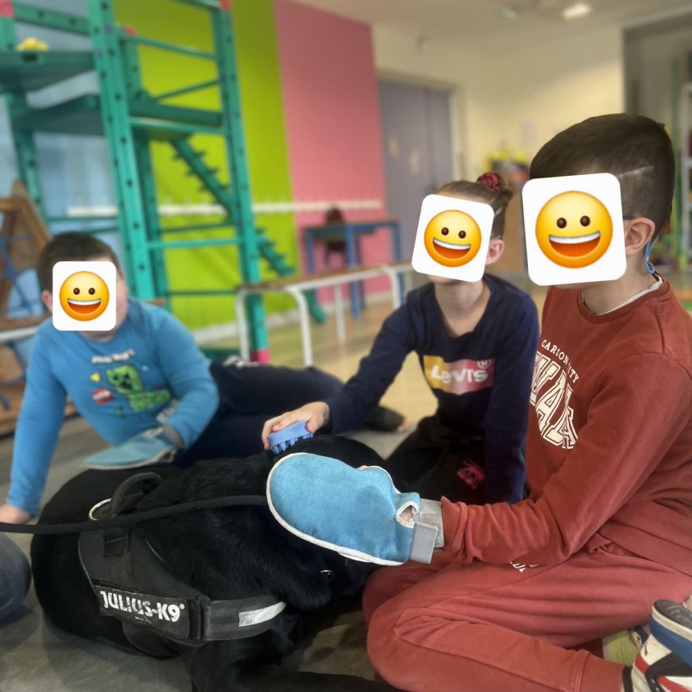 institut la therapie a 4 pattes anizy