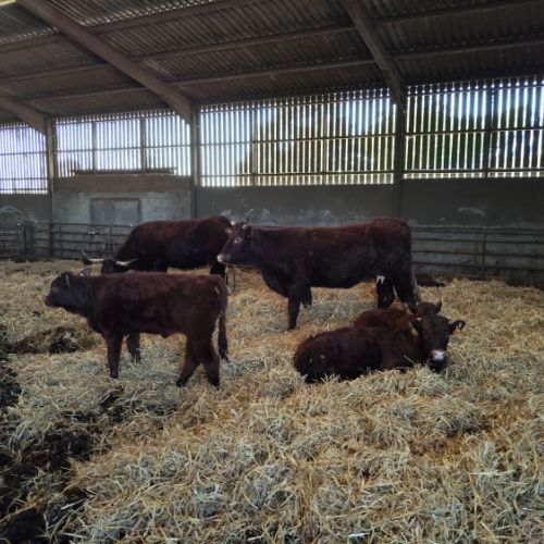 la ferme de fontenille wissignicourt