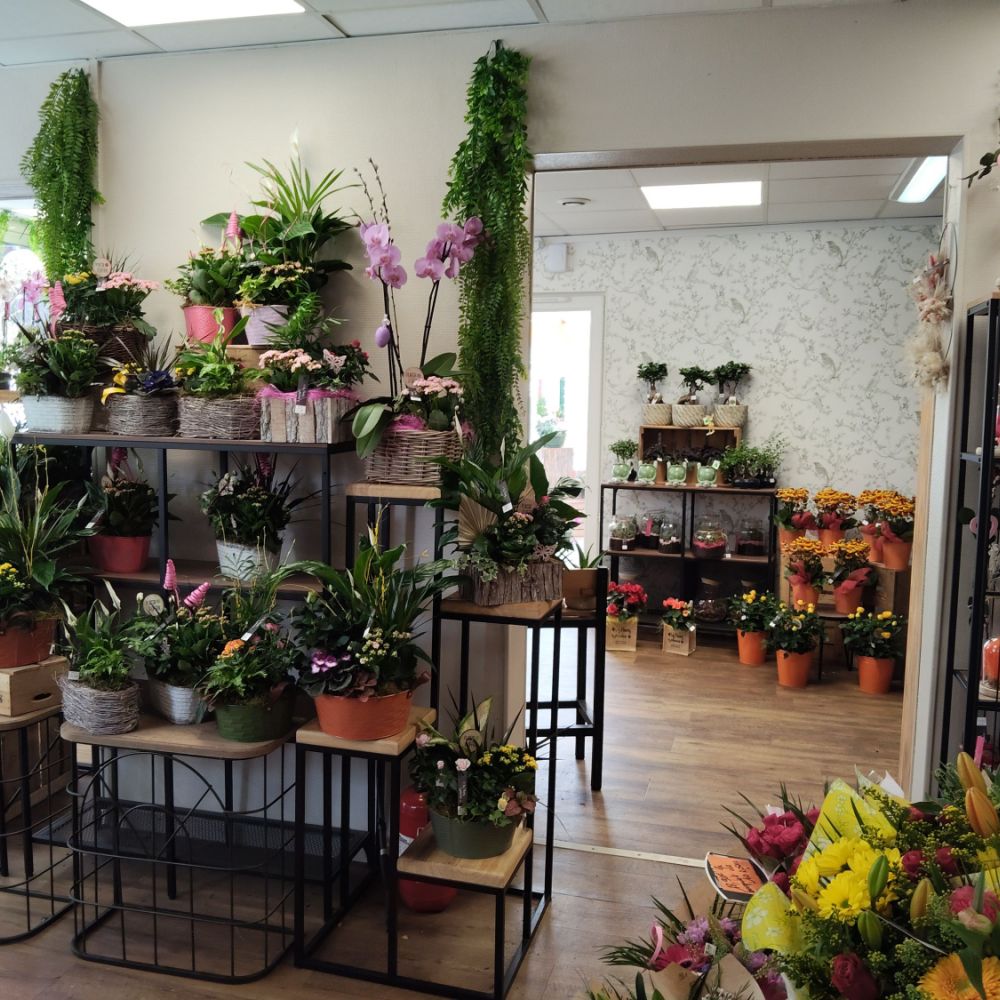 fleuriste les fleurs de nicolas anizy