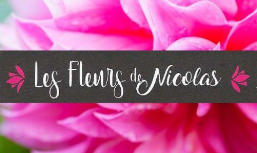fleuriste les fleurs de nicolas anizy