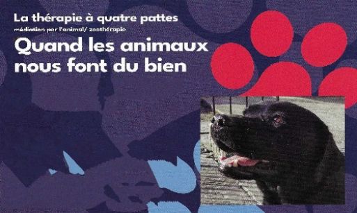 la thérapie à 4 pattes anizy le grand